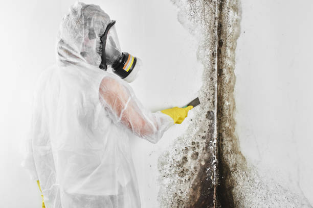 Best Mold Testing  in Coopersville, MI